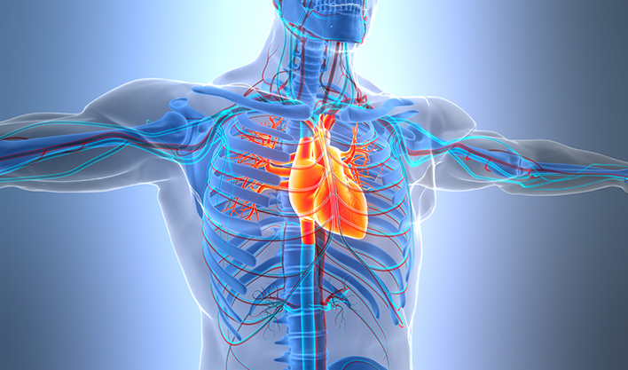 Vascular Care service